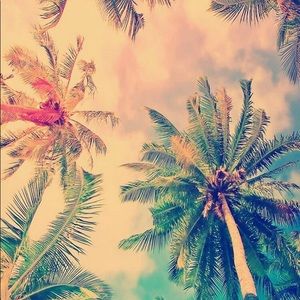 Meet your Posher, Catherine